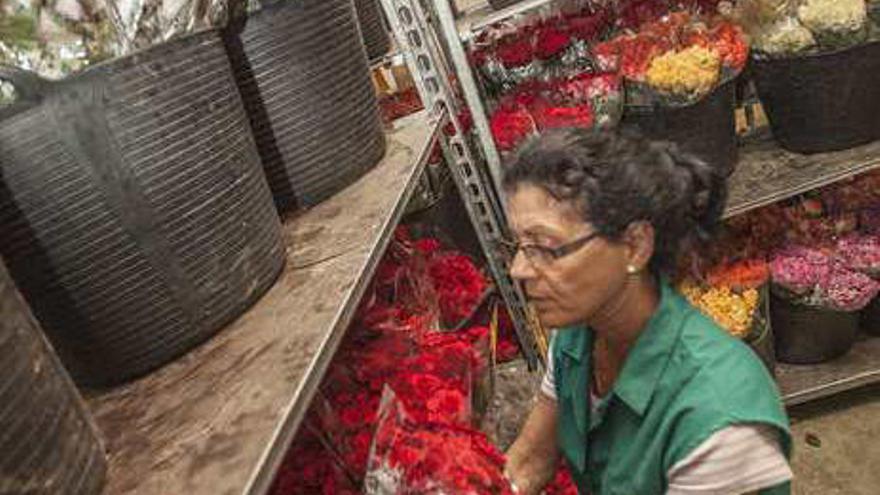 Flores que dan vida a la tradición