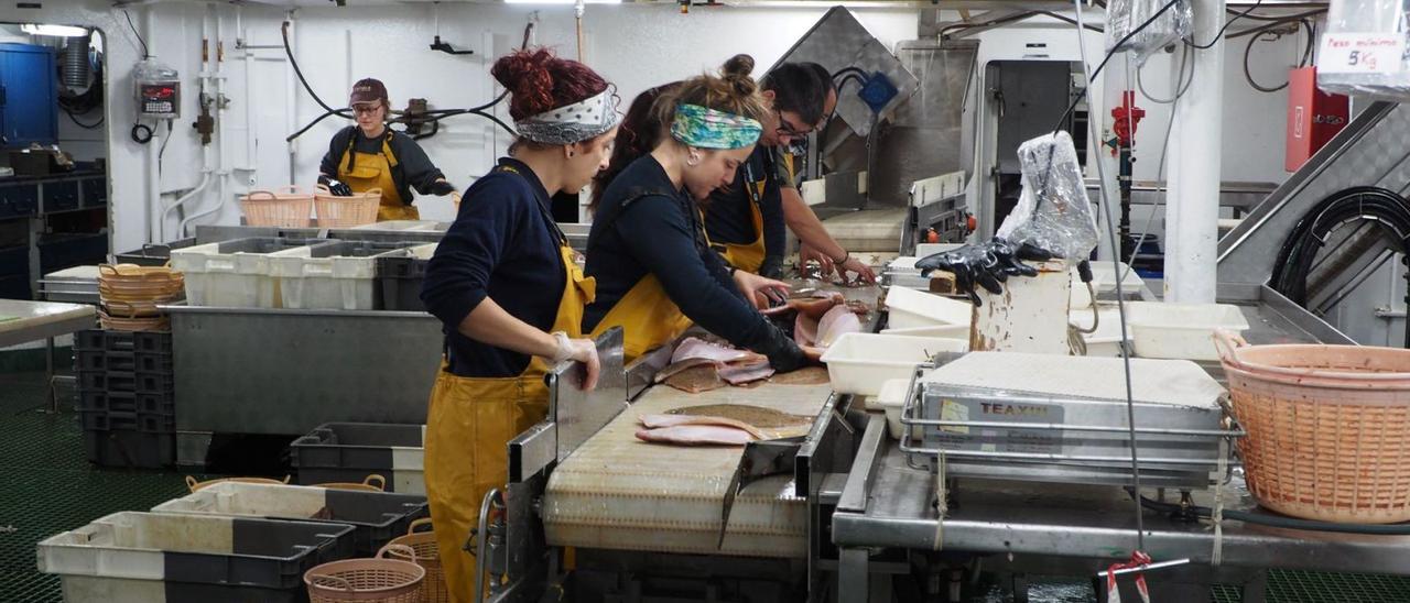 Investigadores del Oceanográfico vigués, en la campaña de platuxa a bordo del “Vizconde de Eza”. /  IEO VIGO