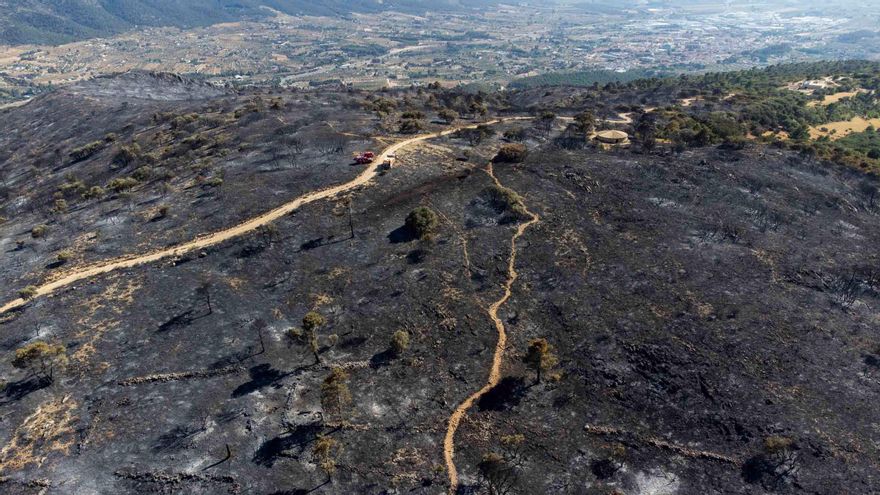 Extinguido el incendio declarado el pasado viernes en Alicante que afectó al Parque Natural de la Font Roja