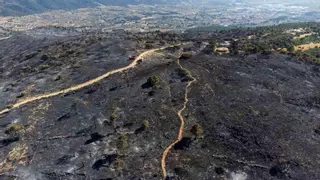 Expertos, sobre el incendio de la Font Roja: “Se ha evitado un desastre aún peor”
