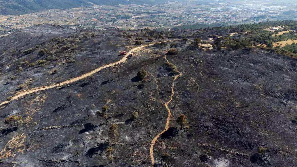 Extinguido el incendio declarado el pasado viernes en Alicante que afectó al Parque Natural de la Font Roja