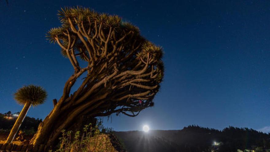 Fotografía Miguel Ángel Pérez Calero