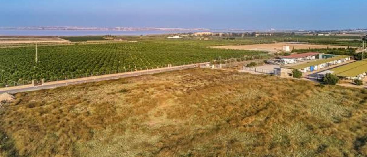 Área en la que está proyectada la planta de basuras de San Miguel de Salinas.