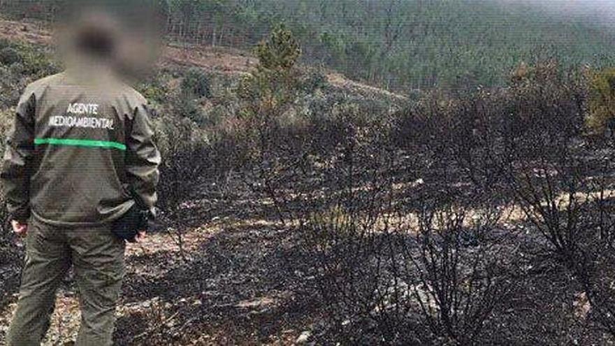 Extinguidos dos incendios en Villarino Tras la Sierra