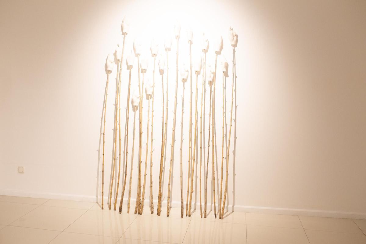 241024EXT_Jorge Vali (207378319).jpg