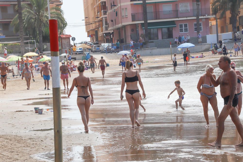 Primer día de baño autorizado en las playas de Torrevieja con arena parcelada y controles de acceso