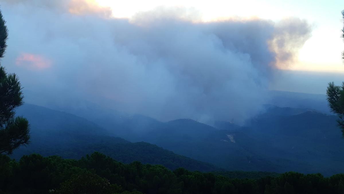 Un incendio en Sierra Bermeja afecta a Jubrique, Genalguacil y Estepona