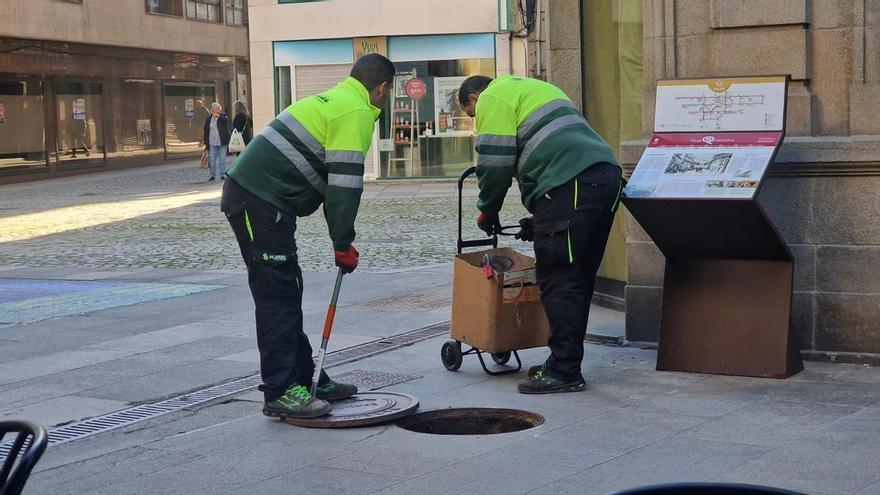 Alertan de la presencia de ratas en el centro de Vilagarcía de Arousa