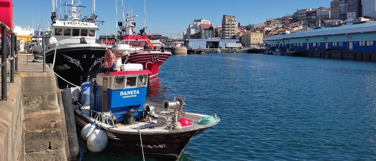 Barcos de cerco amarrados en el puerto de Vigo este mes.