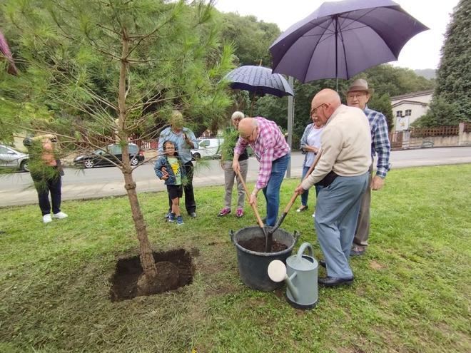 El bosque de la emigración de Langreo crece