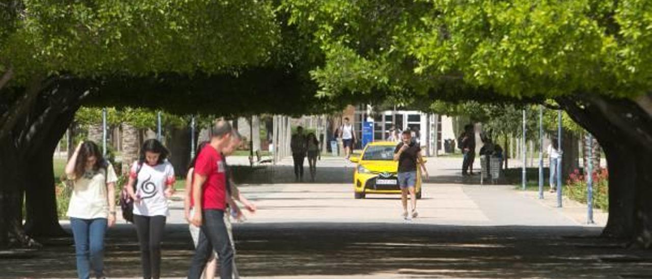 Un coche del servicio de seguridad realizando labores de vigilancia en el campus de la UA ayer a mediodía.