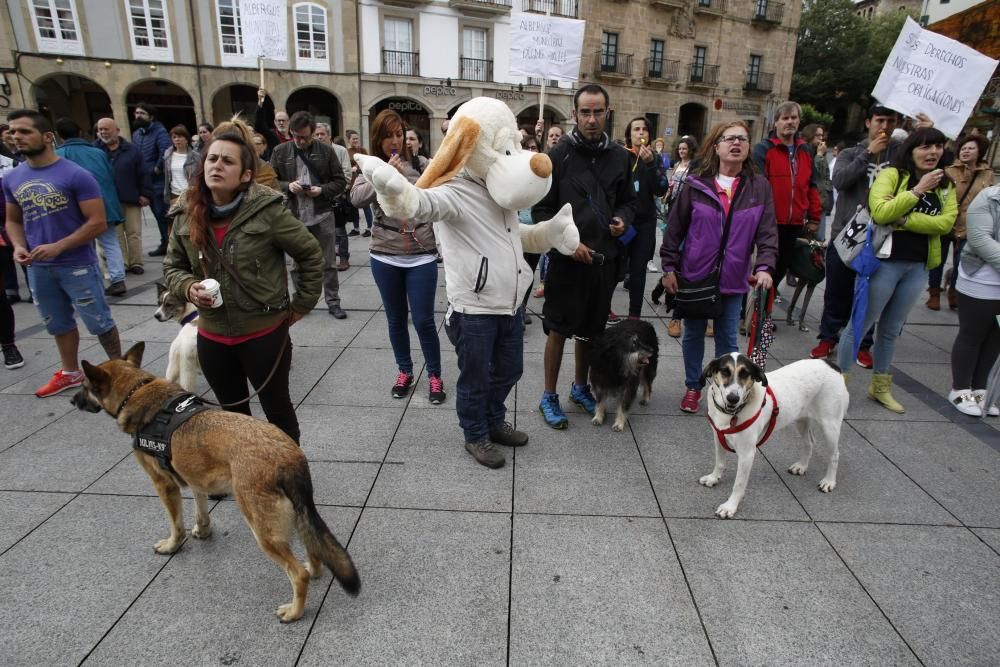 Concentración para reclamar un albergue de animales en Avilés