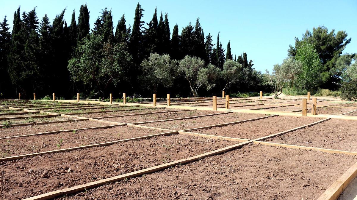 Los huertos urbanos de la zona de l&#039;Horta de Benidorm.