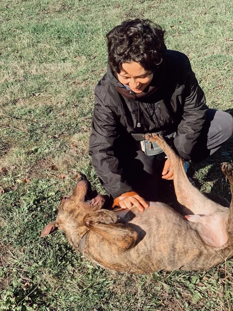 Voluntarios con los perros del albergue canino de Langreo