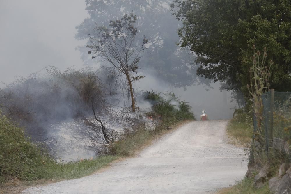 Incendio entre el Colegio Inglés y La Fresneda