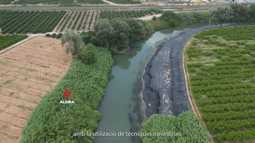 Así avanza la eliminación de cañas en el Xúquer para crear un gran corredor verde entre Sumacàrcer y Cullera