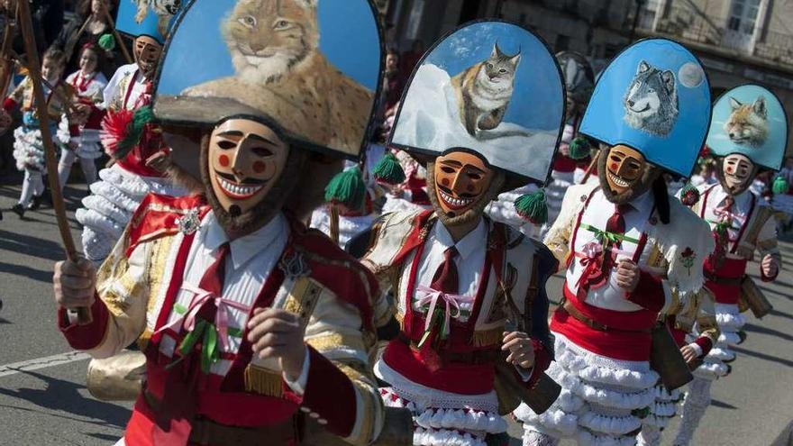 Domingo corredoiro, con la salida de los cigarrones en Verín. // Brais Lorenzo