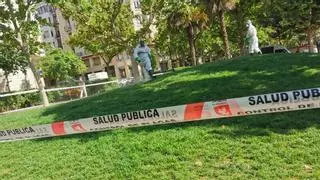 Zaragoza combate la proliferación de las garrapatas en los parques