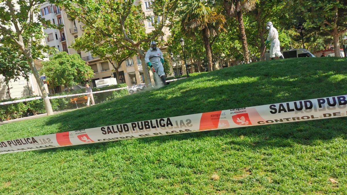 Un empleado de Salud Pública fumigando un parque de Zaragoza.