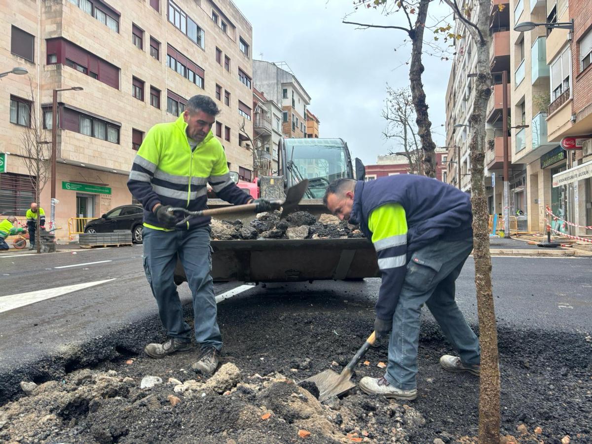 Dos obreros de la empresa Cubillana trabajan en uno de los alcorques de la plaza de Portugal de Badajoz.