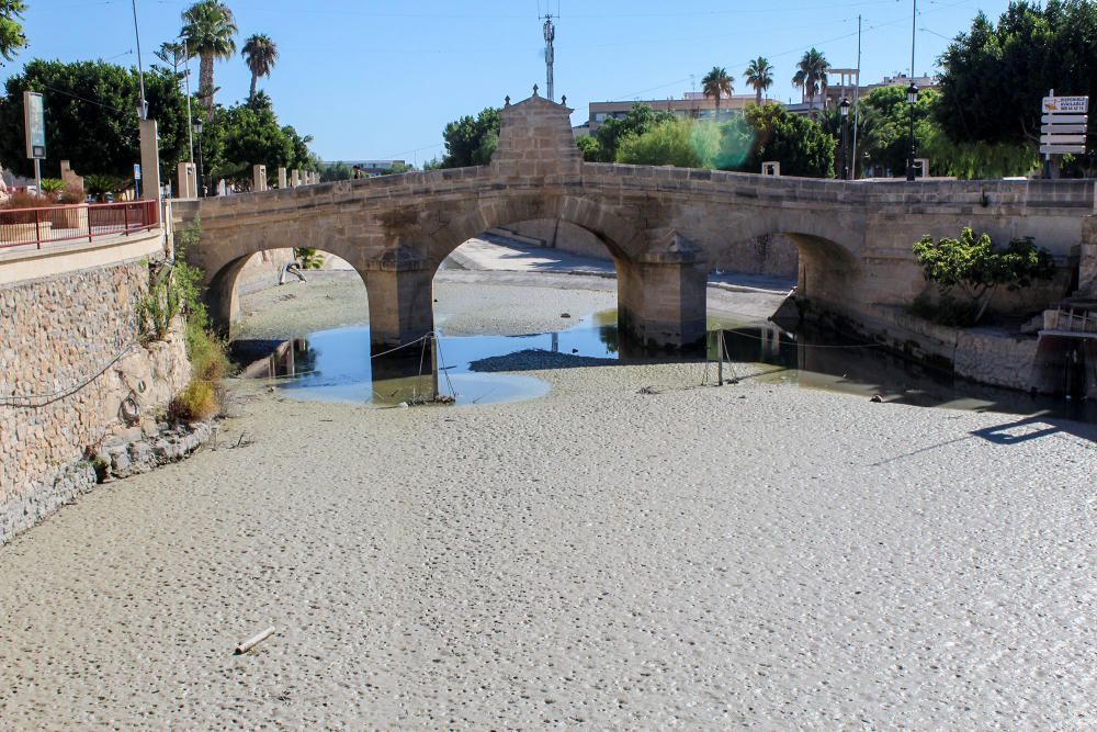 La falta de agua seca el río Segura