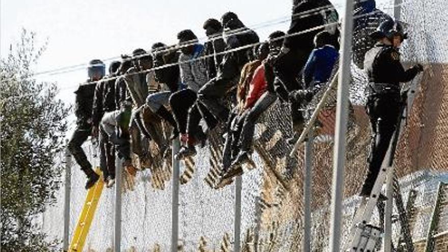 Alguns dels immigrants que ahir es van enfilar a la tanca de Melilla.