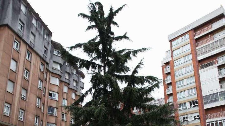 El espacio verde que llevará el nombre de José Antonio Roncero.