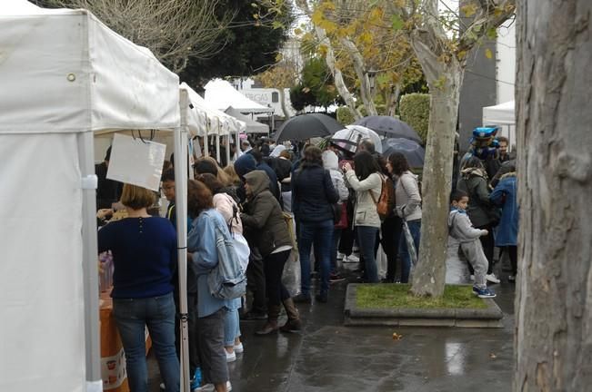 FERIA DE LA PAPA EN FIRGAS