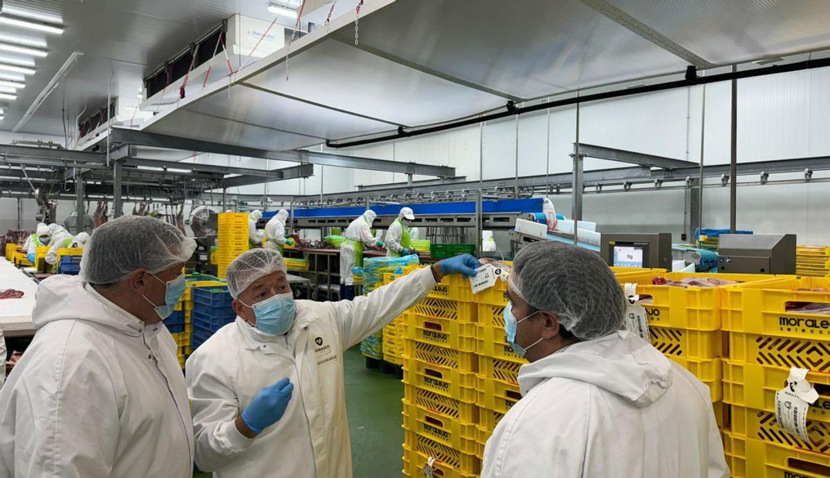 Instalaciones de Moralejo Selección.