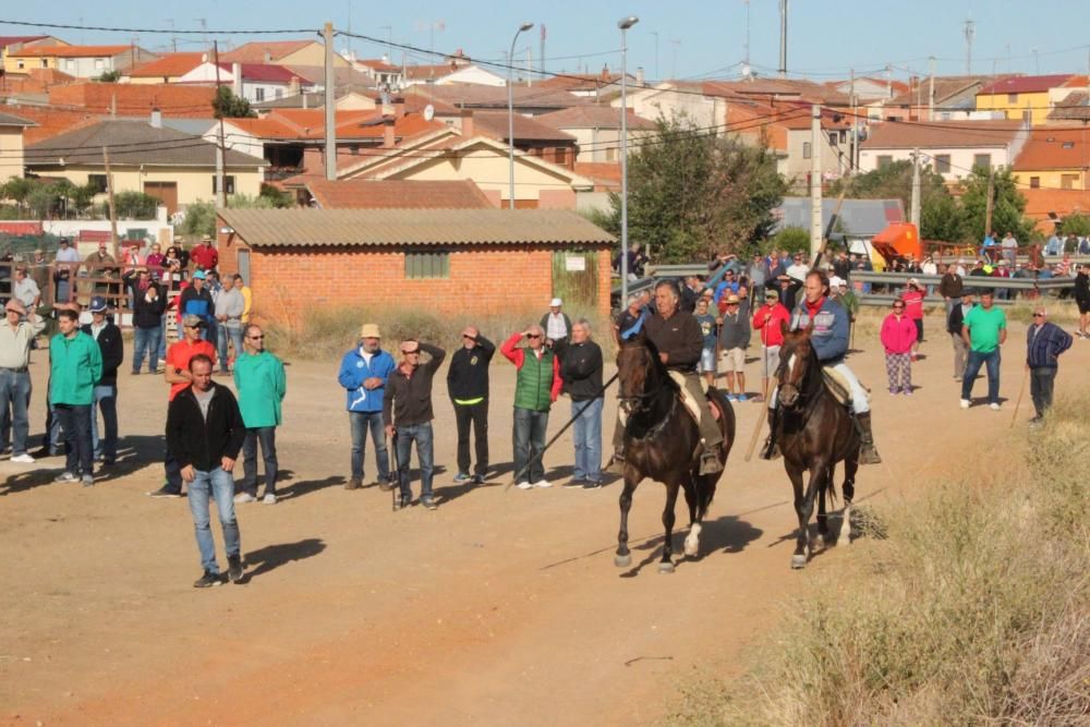 Encierro en Cañizal.