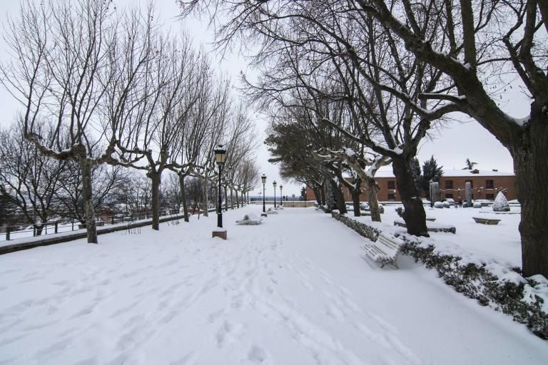 Así ha sido la nevada en Benavente.