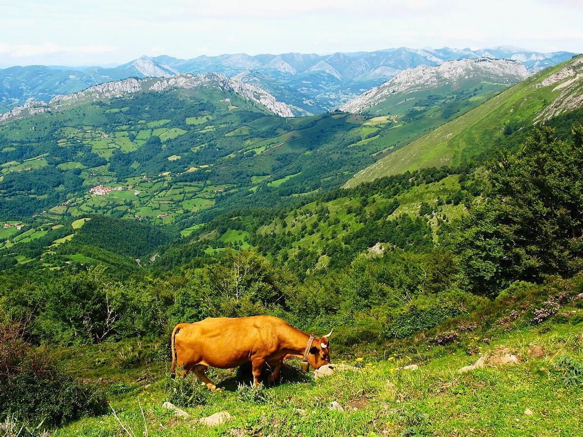 La Reserva de la Biosfera de Redes, en el Valle del Nelón