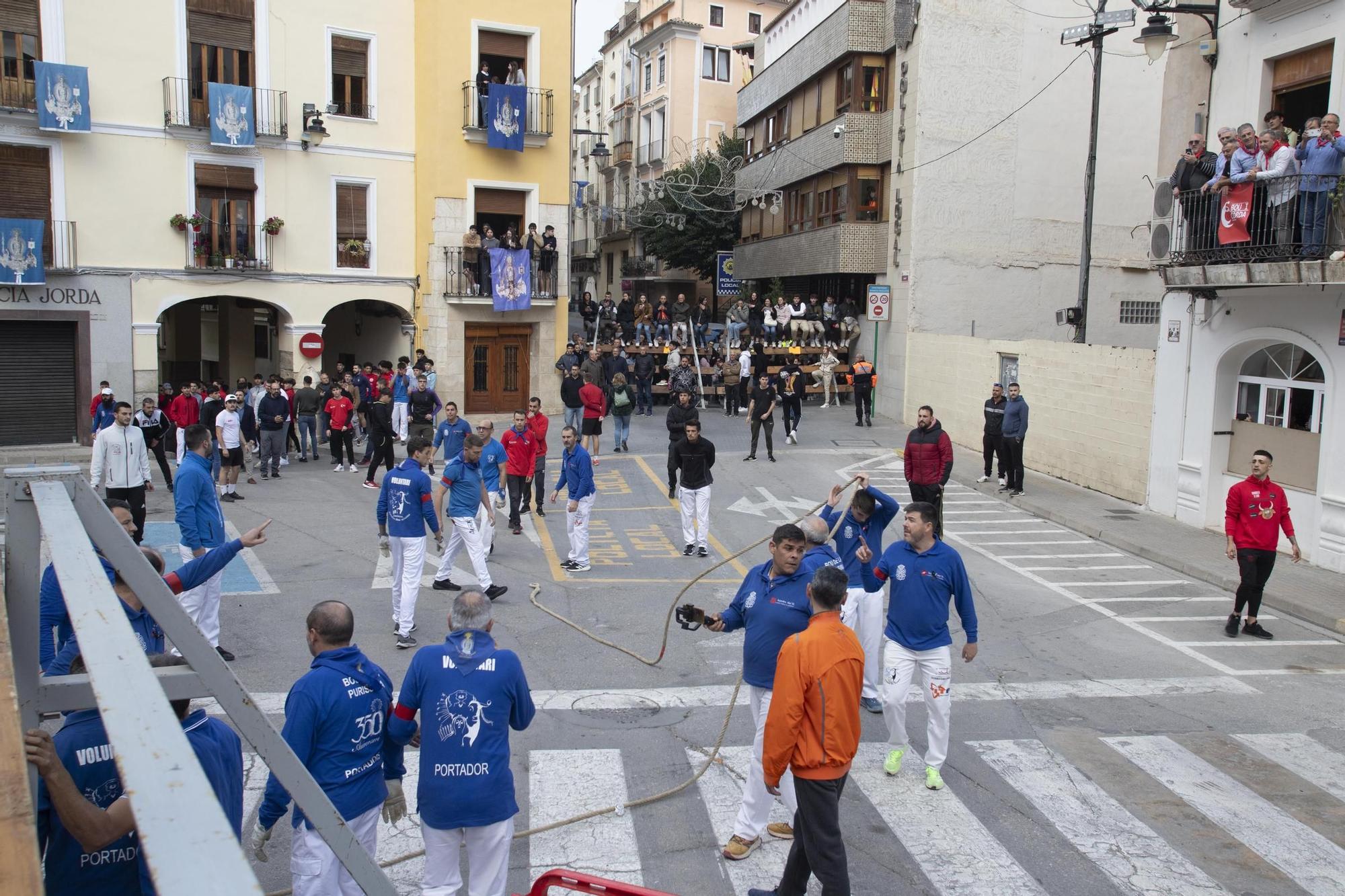 Bou en corda de  la Purísima de Ontinyent