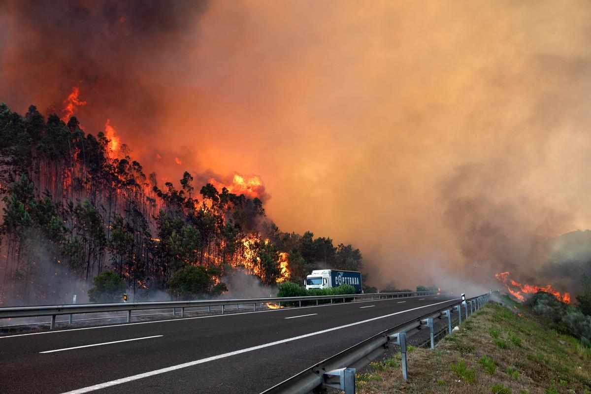 Evacuadas unas 1.400 personas por un incendio forestal en Portugal