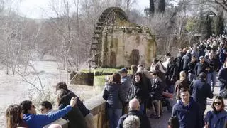 Última hora del temporal en Córdoba y Andalucía, en directo | Nuevos desalojos, crecida del río Guadalquivir, avisos de la Aemet y alerta por el riesgo de inundaciones graves