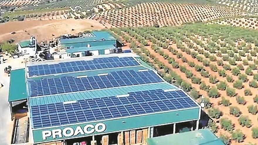 Proaco amortizará su cubierta solar de 200 kilovatios en cinco años