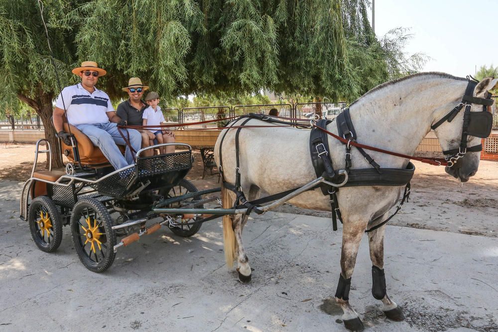 Dolores se va de romería huertana