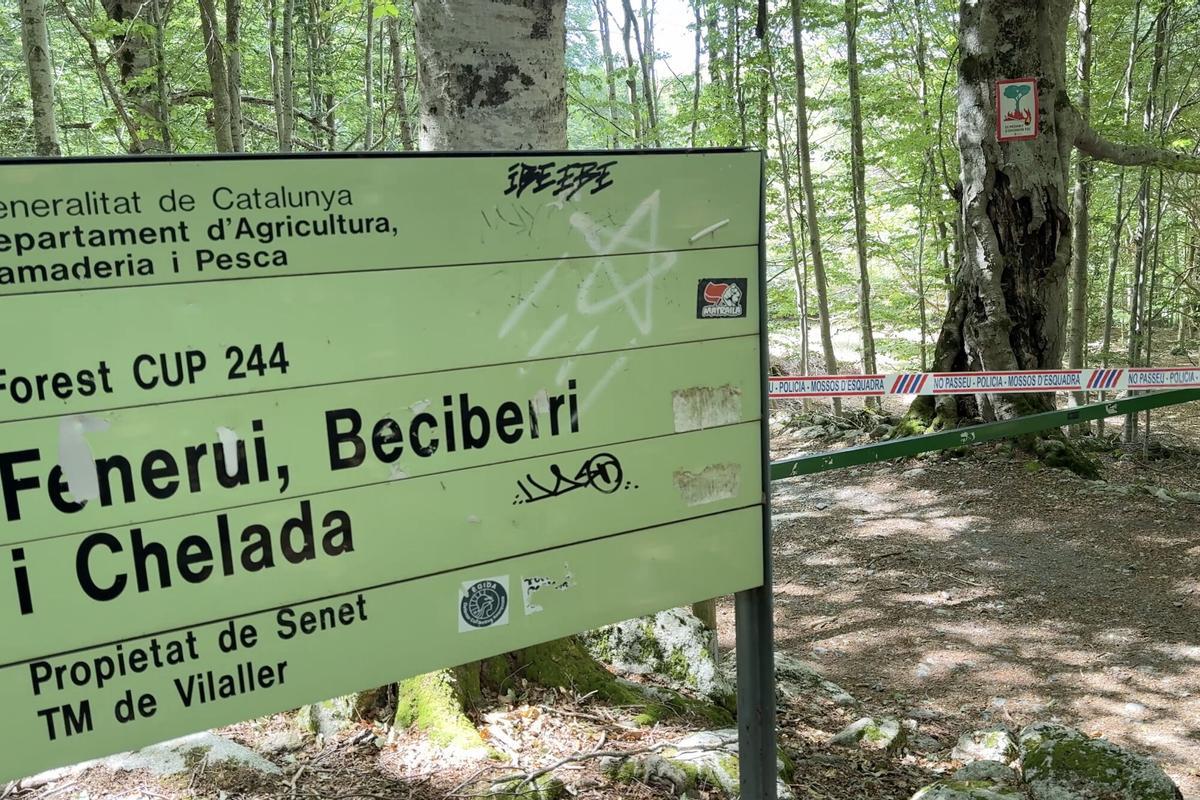 Cinta de los Mossos d’Esquadra que prohíbe el paso a excursionistas en Collserola por la peste porcina