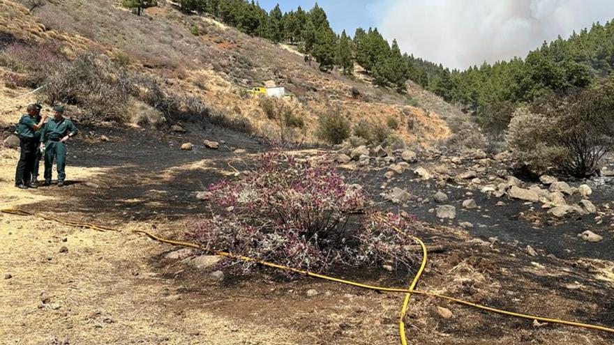 Trabajos de desbroce forestal causaron el incendio de la Cumbre