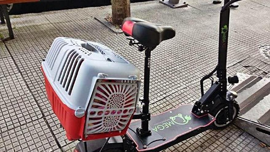 Patinete trucado, con sillín y transportín para perro.