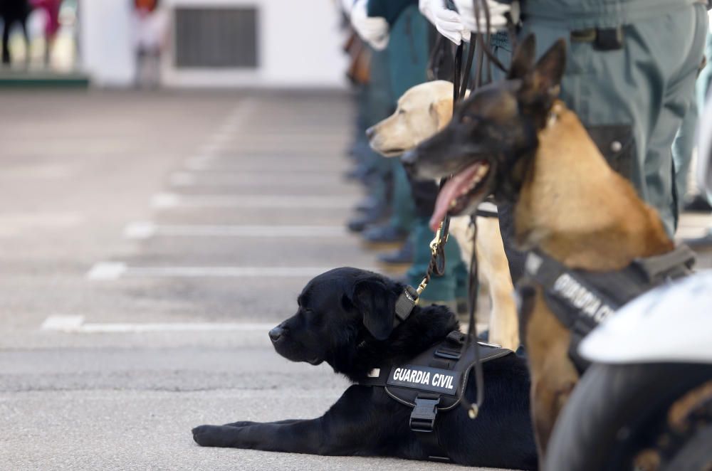 Toma de posesión del nuevo coronel jefe de la Comandancia de la Guardia Civil de Málaga