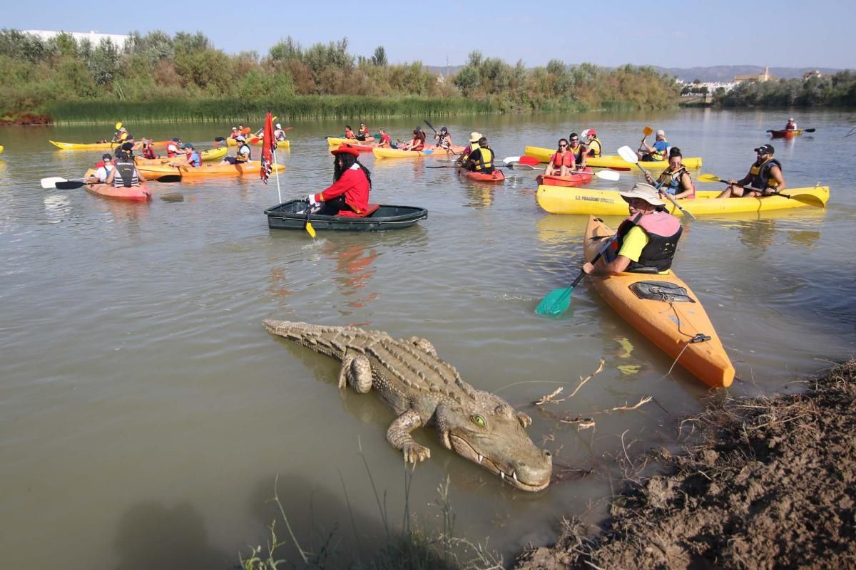 Un caimán por el Guadalquivir