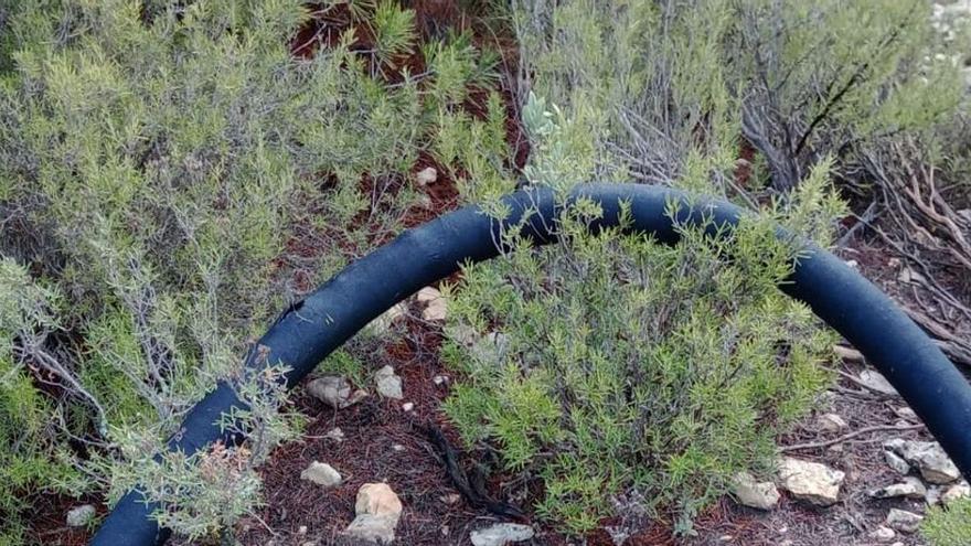 El tubo encontrado en la cima del Chocolate de la sierra de Caprala en Petrer.