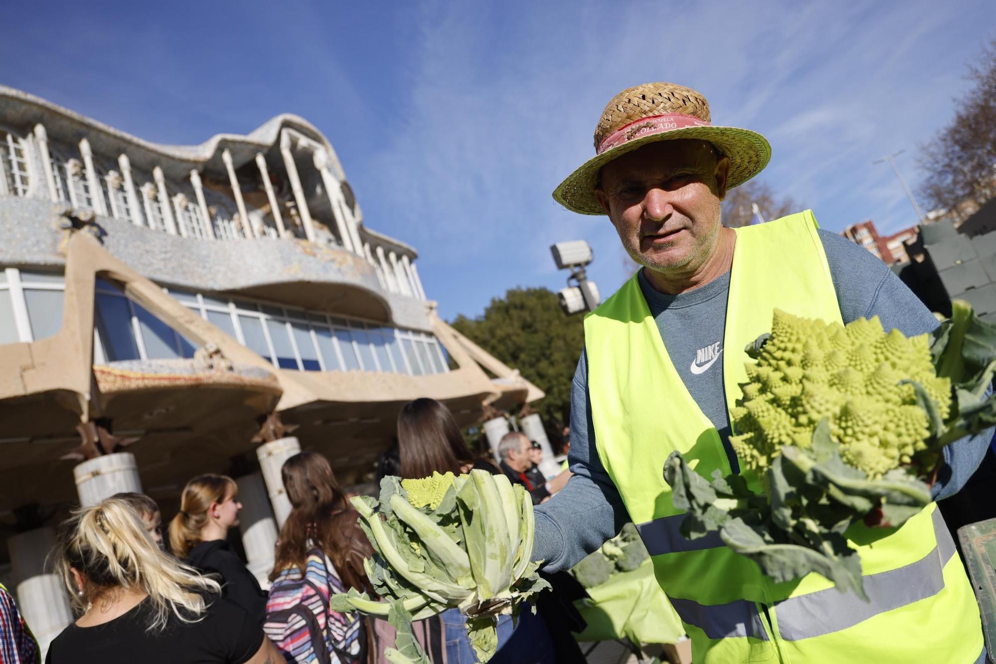 Las imágenes del plante de los agricultores frente a la Asamblea, donde han repartido frutas y hortalizas