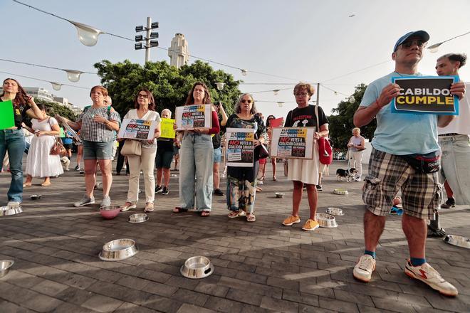 Adepac vuelve a la calle para exigir soluciones al Cabildo de Tenerife
