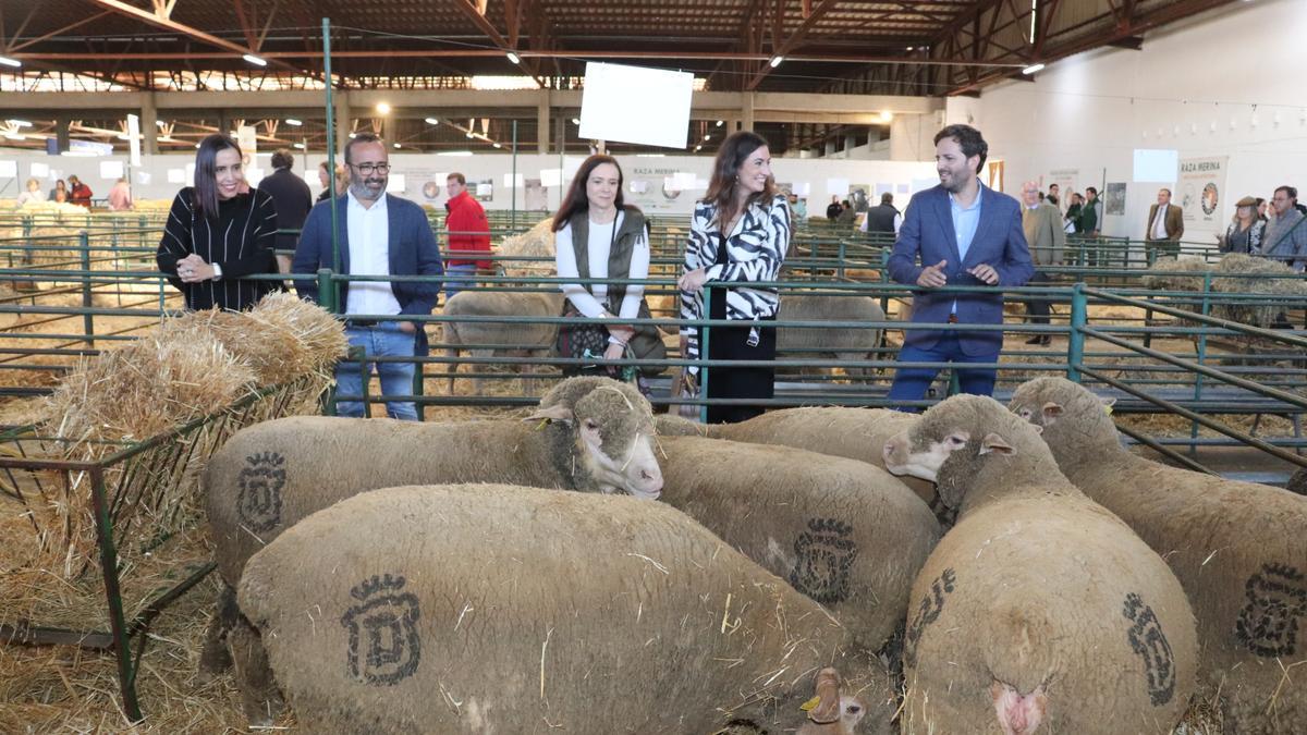 Angélica García, Miguel Ángel Morales, Lara Garlito y Enrique Borrega, junto al ganado de la Diputación de Cáceres.