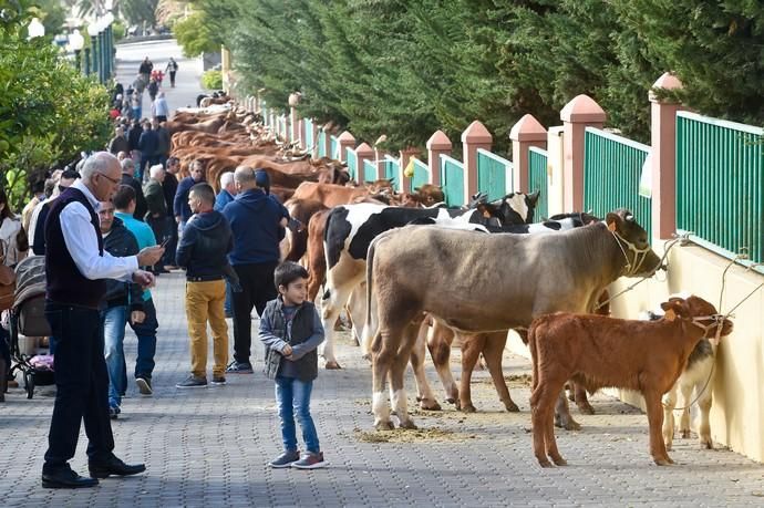 Fiesta de San Sebastián. Feria de ganado y ...