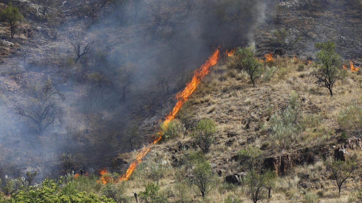 Una lengua de fuego junto a la carretera que une Terrer y Ateca. / JAIME GALINDO