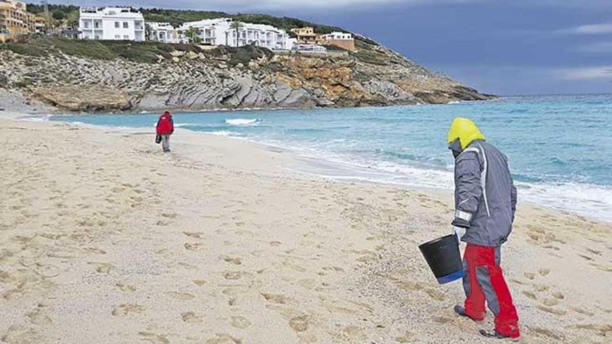 Técnicos del ayuntamiento de Capdepera recogen residuos de muestreo sobre la arena de Cala Mesquida.