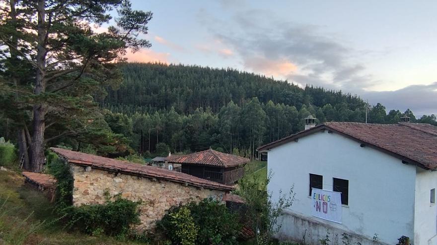 La Sociedad Española de Ornitología se opone al plan eólico previsto para la sierra de Bufarán